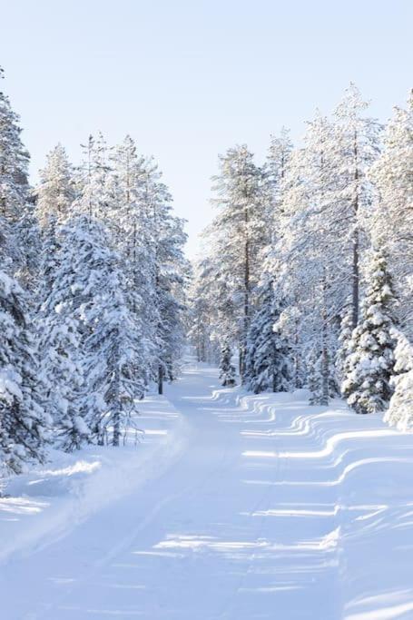 Arctic Circle Home Close To Santa'S Village Ροβανιέμι Εξωτερικό φωτογραφία