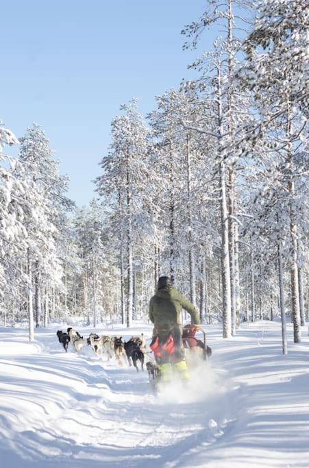 Arctic Circle Home Close To Santa'S Village Ροβανιέμι Εξωτερικό φωτογραφία